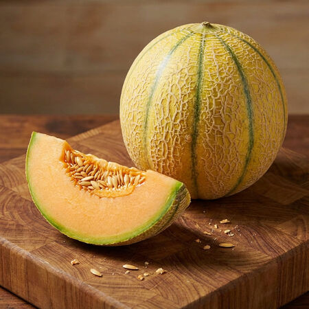 Milan, (F1) Melon Seeds - Packet image number null